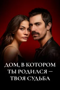 Дом, в котором ты родился - твоя судьба турецкий сериал